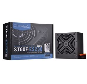 Блок питания Silverstone SST-ST60F-ES230 V1.0 PSU-P217-600W-230V ONLY-ATX-120mmFAN-FIXED C-80PLUS-RoHS-GM   (223321) {8}
