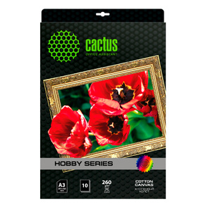 Cactus CS-СA326010 Холст A3 / 300г / м2 / 10л. / белый для струйной печати