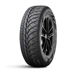 ДаблСтар  265 / 60 / 18  H 110 APEX RACING