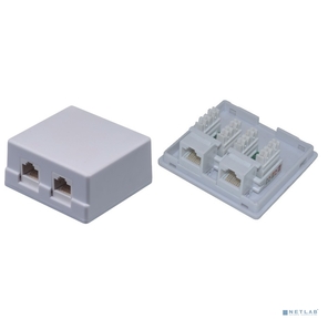 Внешняя сетевая розетка NEOMAX [NM-SMB-KJ45-U5E-2PD-102-WH] Cat.5E, UTP,  2 порта,  цвет белый