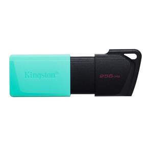 Флеш Диск Kingston 256Gb DataTraveler DTXM DTXM / 256GB USB3.2 черный / красный