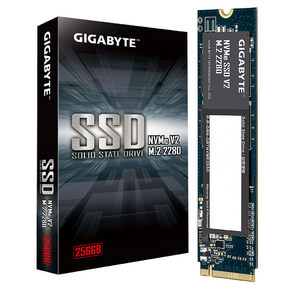 Твердотельный накопитель SSD Gigabyte  NVMe SSD V2 256GB G3NVMEV2256G