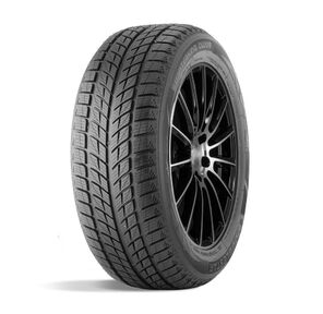 Зимние нешипованные шины DoubleStar DW09 275 / 40 R20 106V