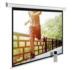 Экран Cactus 138x220см SIlverMotoExpert CS-PSSME-220X138-WT 16:10 настенно-потолочный рулонный белый  (моторизованный привод)