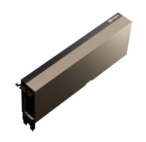 Nvidia Tesla H100 80GB,  1 year