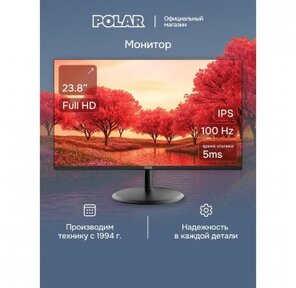 Монитор POLAR P24F11M