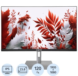 Монитор RDW Computers 23.8" RDW2407 черный IPS 1ms HDMI M / M 300cd 178гр / 178гр 1920x1080 120Hz VGA FHD  (RUS)