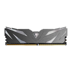 Netac Shadow II 16GB DDR4-2666  (PC4-21300) C19 Black 19-19-19-43 1.2V Memory module