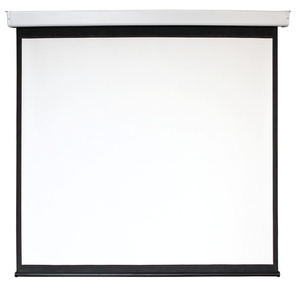 Экран 200x200см Digis Electra-F DSEF-1106 1:1 настенно-потолочный рулонный  (моторизованный привод)