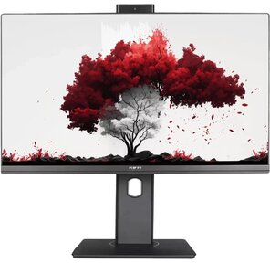 Монитор RDW Computers 23.8" RDW 2402K черный IPS 4ms HDMI M / M Cam HAS Piv 300cd 178гр / 178гр 1920x1080 100Hz VGA DP USB  (RUS)