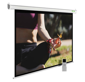 Экран Cactus 197x200см MotoExpert CS-PSME-200x200-WT 1:1 настенно-потолочный рулонный белый  (моторизованный привод)