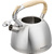 Чайник металлический Starwind Chef Daily 2.8л. серый  (SW-CH1308)