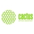 Cactus CS-PH6000Y Тонер Картридж 106R01633 желтый для Xerox Phaser 6000 / 6010  (1000стр.)