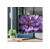 IRBIS NOBLEVIEW 32'' LED Monitor 2560x1440,  16:9,  VA,  300 cd / m2,  3000:1,  3ms,  HDMI,  DPх2,  USB,  Audio output,  PJack 165Hz,  Height,  Tilt,  Swiv,  Pivot,  внешн. бп,  VESA 100x100,  Black NEW