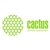 Cactus TN-230Y Тонер Картридж Cactus CS-TN230Y желтый для для Brother HL-3040 / 3070,  DCP-9010,  MFC-9120 / 9320  (1400стр.)