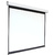 Экран 200x200см Digis Electra-F DSEF-1106 1:1 настенно-потолочный рулонный  (моторизованный привод)