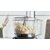 Кухонный комбайн BOSCH /  800 Вт,  Скорости: 2,  Блендер 1 л,  Чаша 2.3 л,  Цвет: черны / серебристый