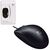 Мышь Logitech B100 Black черная,  оптическая 800dpi,  USB,  1.8м,  {10},   (041271)