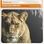 DEFENDER 50803 Коврик для мышки WILD ANIMALS