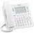 Телефон IP Panasonic KX-NT630RU белый