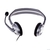 Logitech Headset H110