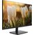 Монитор Dahua 27" DHI-LM27-A201H черный IPS LED 5ms 16:9 HDMI M / M матовая 1000:1 250cd 178гр / 178гр 1920x1080 100Hz VGA DP FHD 4.7кг
