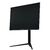 Монитор FragMachine 24.5" F245IR240 Black  (IPS,  1920x1080,  2xHDMI+2xDP,  1 ms,  178° / 178°,  350 cd / m,  1000:1,  240Hz,  Pivot,  MM)