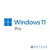 Лицензия OEM Windows 11 Pro 64-bit Russian 1pk DSP OEI DVD  (FQC-10547)