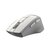 Мышь A4 Fstyler FG30 серый / белый оптическая  (2000dpi) беспроводная USB