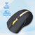 Oklick 495MW черный / золотистый оптическая  (1600dpi) беспроводная USB  (6but)