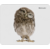 DEFENDER 50803 Коврик для мышки WILD ANIMALS