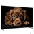 Телевизор Topdevice 50" CQ09 черный QLED / UHD / Smart Google TV / 2-16Гб