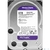Western Digital HDD SATA  6Tb Purple WD64PURZ,  IntelliPower,  256MB buffer  (DV-Digital Video),  1 year