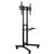 Подставка для телевизора Arm Media PT-STAND-7 черный 32"-80" макс.50кг напольный фиксированный