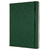 Блокнот Moleskine CLASSIC QP090K15 XLarge 190х250мм 192стр. линейка твердая обложка зеленый