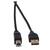 Кабель GoPower USB A  (m)-USB B  (m) 1.8м ПВХ черный  (1 / 200)
