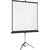 Экран на штативе Lumien Master View 244x244 FiberGlass LMV-100105