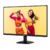 МОНИТОР 23.8" AOC Q24B35 Black  (IPS,  2560x1440,  120Hz,  1 ms,  178° / 178°,  250 cd / m,  1300:1,  +HDMI 2.0,  +DisplayPort 1.4)
