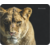 DEFENDER 50803 Коврик для мышки WILD ANIMALS