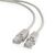 Cablexpert Патч-корд UTP PP12-50M кат.5e,  50м,  литой,  многожильный  (серый)