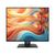 Монитор MSI Pro MP245PHG E14 23.8" IPS LED 1ms 16:9 HDMI M / M HAS Piv 300cd 178гр / 178гр 1920x1080 144Hz DP FHD USB 3.3кг черный