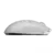 Logitech Mouse G PRO Х Superlight 2 Wireless Gaming White Retail