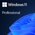 Win Pro FPP 11 P2 32-bit / 64-bit Eng Intl non-EU / EFTA USB