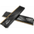 ADATA DDR5,  32GB,  6400MHz,  2*16GB,  32-39-39,  BLACK,  DUAL TRAY