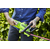 Greenworks Кусторез аккумуляторный Greenworks G40HT61,  40V,  61 см,  без АКБ и ЗУ [2200907]