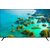 Телевизор LED Haier 43" LED S2 Frameless черный 4K Ultra HD 60Hz MEMC DVB-T DVB-T2 DVB-C DVB-S DVB-S2 USB WiFi Smart TV  (RUS)