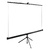 Экран Cactus 180x180см TriExpert CS-PSTE-180x180-BK 1:1 напольный рулонный