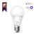TP-Link Tapo L520E Smart WiFi Bulb,  A60 size,  E27 base,  8.7W,  4000K white,  800 lumens brightness and dimmable,  802.11b / g / n 2.4G WiFi connection