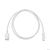 Bion Кабель  USB 3.0 AM to Type-C cable  (AM / CM),  1 m,  white. 5 Гбит / с .  3A  (36W) [BXP-CCP-USB3-AMCM-1M-W]