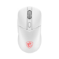 Мышка USB OPTICAL GAMING VERSA 300 W MSI